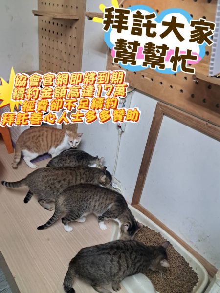 贊助【官網續約】經費